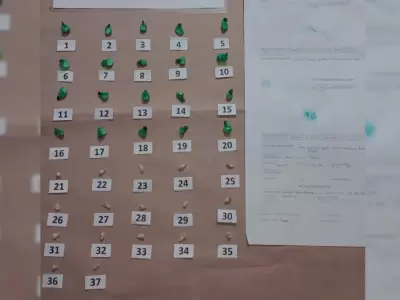 envoltorios de cocaina