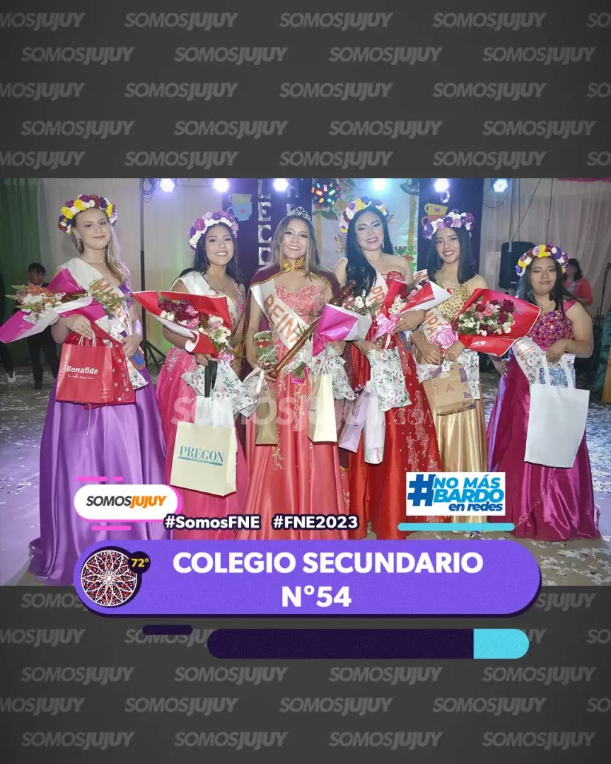 colegio secundario N54