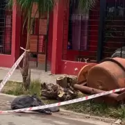 Córdoba: una chica de 15 años murió tras ser atacada por dos dogos