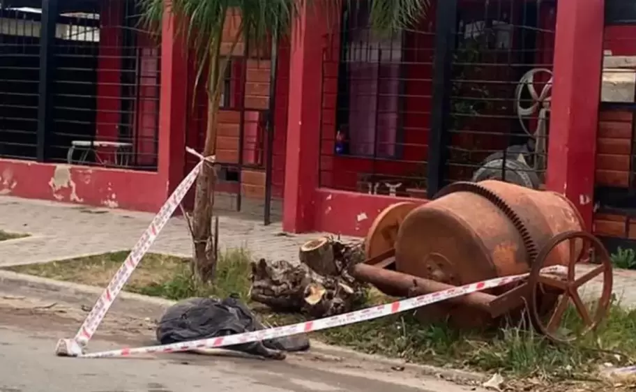 chica atacada por dogos