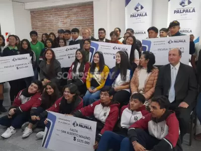 subsidios a los colegios de palpal FNE