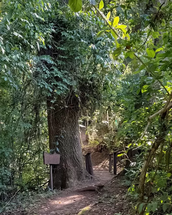 El parque botnico cuenta con senderos que recorren el rea