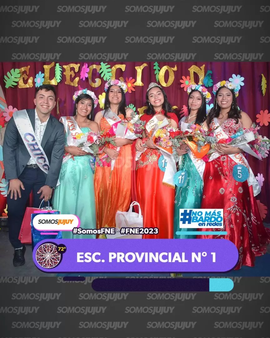 elegidas provincial 1