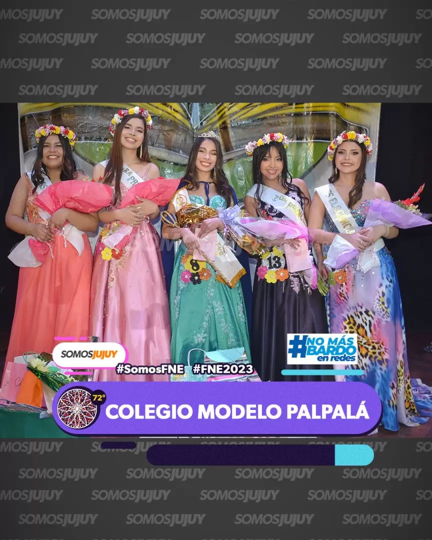 elegidas colegio modelo palpal