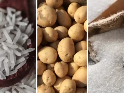 Alimentos