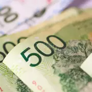 dinero argentina plata billetes (7)