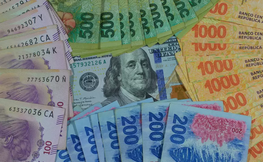dinero argentina plata billetes (7)