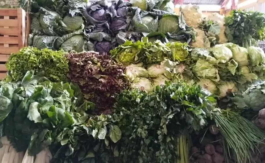 Verduras de hoja verde
