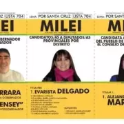 Una lista de candidatos en Santa Cruz se llama MILEI y el precandidato presidencial los tild� de "tramposos"