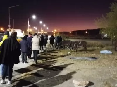 Juje�os hacen fila para conseguir leche de burra