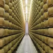 Un productor italiano muri aplastado por 25 mil hormas gigantes de queso