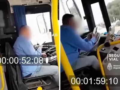 chofer de colectivo
