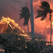 "Hay cadveres flotando en el agua": el estremecedor relato de un sobreviviente de los incendios en Hawi