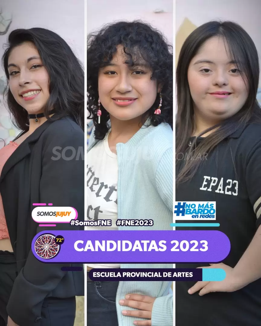 candidatas provincial de artes