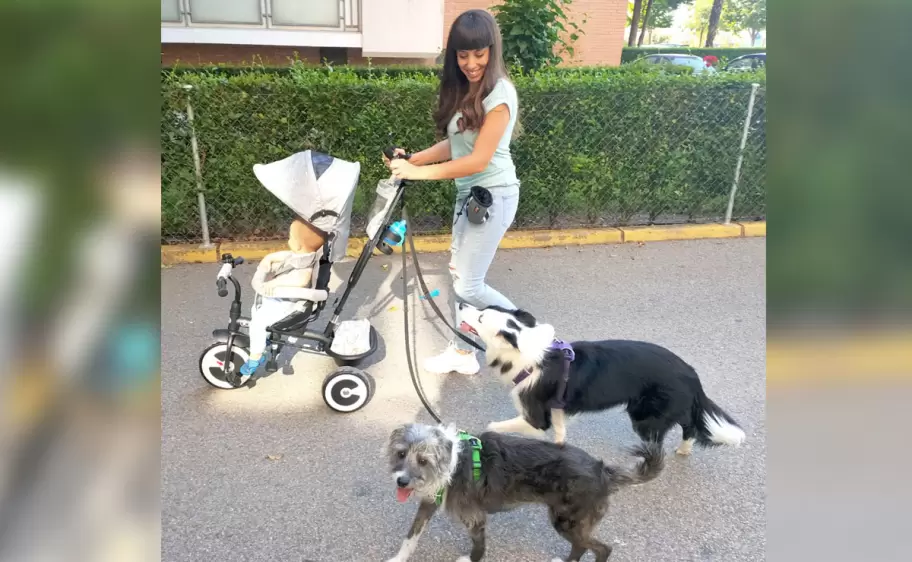 paseo - perros