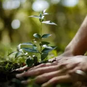 Alto Comedero: plantan árboles autóctonos para mitigar los efectos del cambio climático