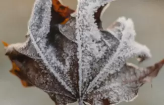 abrigo-frio