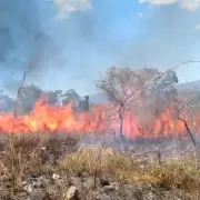 Incendios activos en Jujuy: qué zonas se ven afectadas