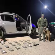 Detuvieron en Purmamarca a un sujeto que transportaba cocaína valuada en más de $113 millones