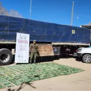 Jujuy: decomisaron hojas de coca y marihuana en dos procedimientos