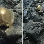 Cientficos descubrieron un extrao "huevo dorado" en el fondo del mar e investigan su origen