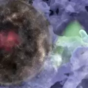 Descubrieron una "burbuja de galaxias" que podría ser un fósil del Big Bang