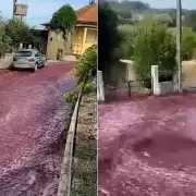 Un pueblo en Portugal se inund con vino tinto