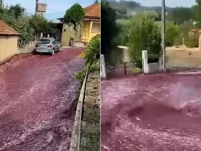 rio de vino portugal