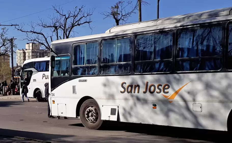 colectivo san jose transporte