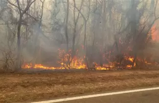 Incendios forestales (Foto ilustrativa)