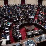 Diputados: la oposición presentó proyecto para trasladar el feriado del 20 de noviembre