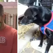 Detuvieron al hombre que estaba prófugo desde hacía tres años por ahorcar y matar a su perro