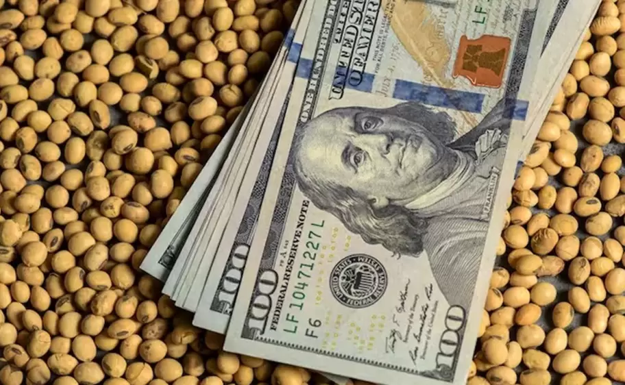 dolar soja