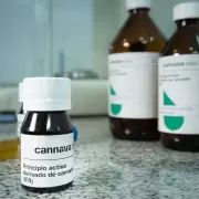 Jujuy: el 25% de los pacientes que consume aceite de cannabis dejó de sufrir crisis de epilepsia