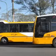 colectivo santa ana