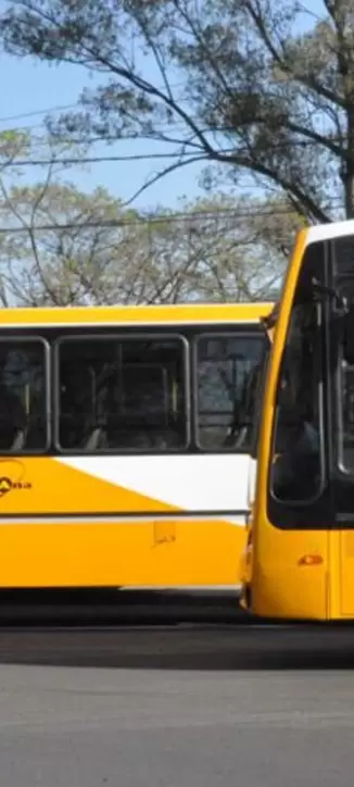 colectivo santa ana