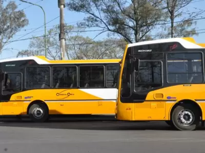 colectivo santa ana