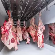 Jujuy: baj el precio de la carne en el mercado mayorista y esperan que impacte en la venta al pblico