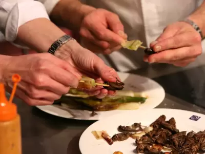 insectos