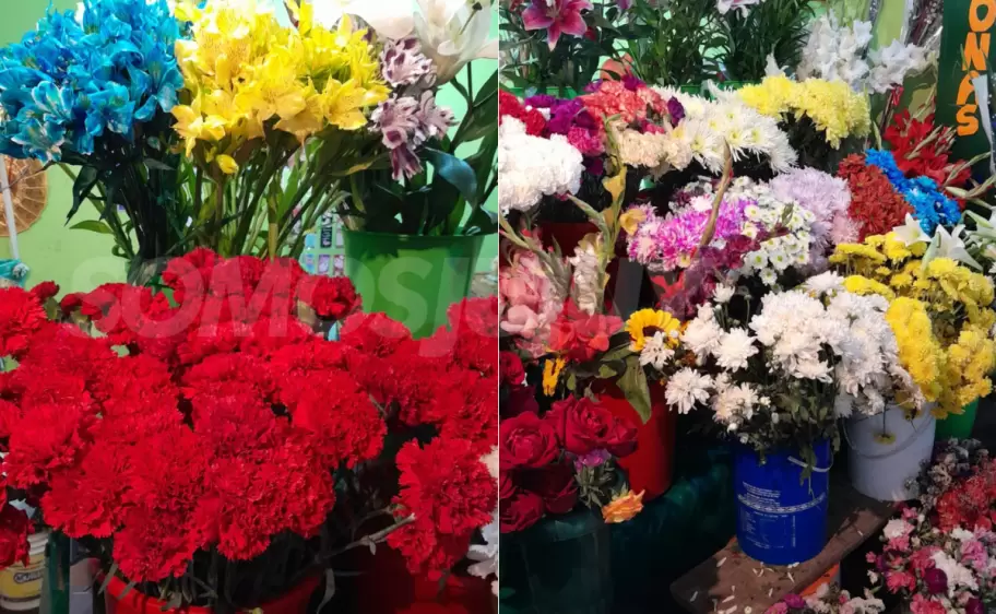 flores