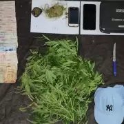 Secuestraron marihuana, efectivo, dos motocicletas y tres sujetos fueron detenidos