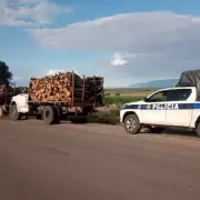 Secuestraron dos cargamentos de madera fajina en controles viales en San Pedro de Jujuy