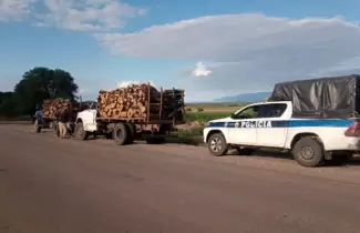 secuestro de madera