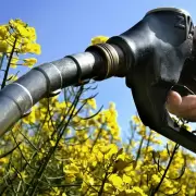 Gobierno aument hasta 35% el precio de los biocombustibles tras la crisis con las naftas