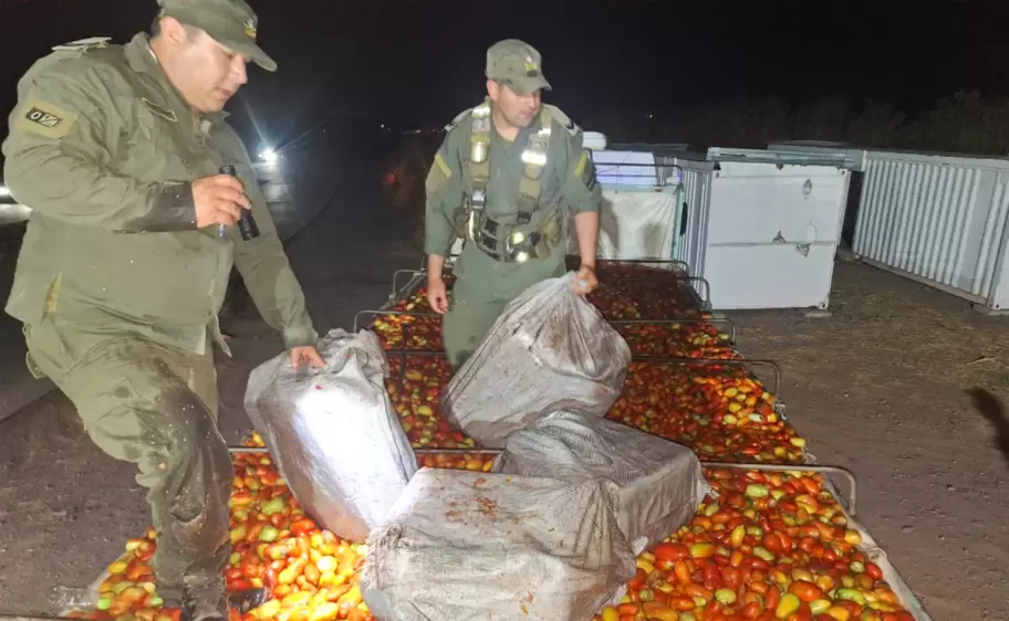 cargamento con hojas de coca