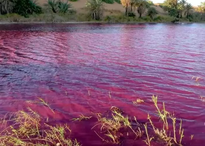 Agua del ro Nilo