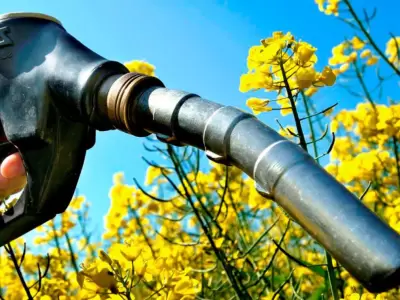biocombustible