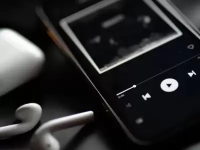 celu musica
