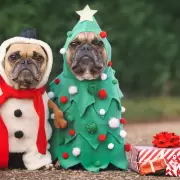 Este domingo será el concurso de perros con disfraces navideños en San Salvador de Jujuy