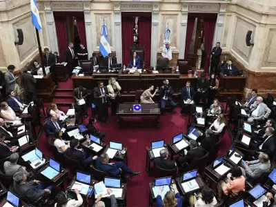 senado argentino